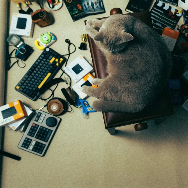 A cat relaxes in a cluttered workspace filled with electronic items and supplies, providing a unique cozy contrast.