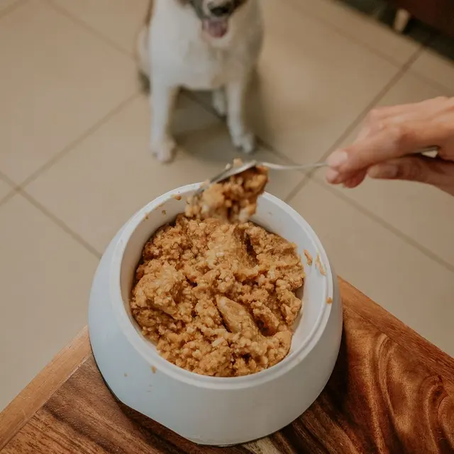 A dog eagerly waiting for a homemade meal to be served in the kitchen.